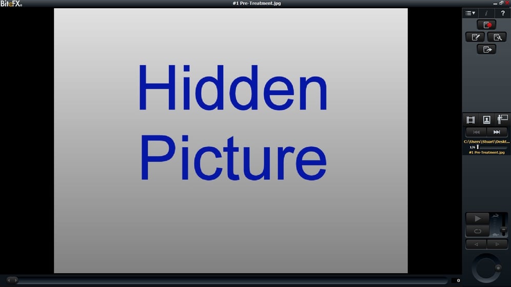 How to Use the Hide/Unhide Image Controls in BiteFX for Windows